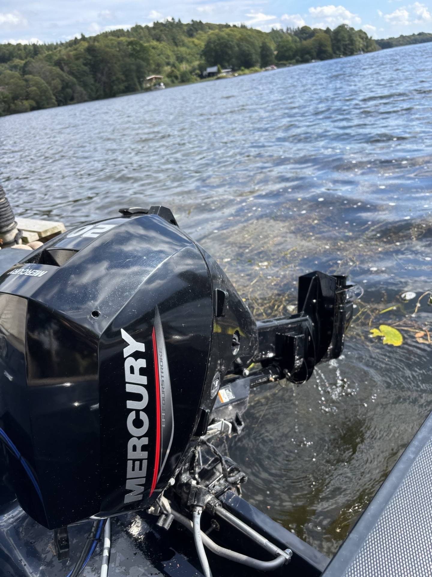 Maxima 550 Tender - 20 HK Mercury/Udstyr