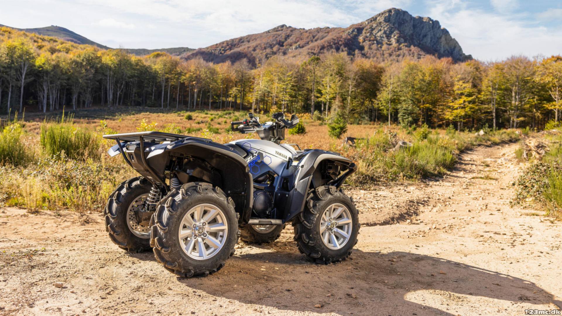YFM700 Grizzly 25th Anniversary EPS ES