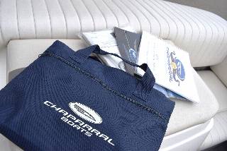 Chaparral SSI 180/Volvo Penta 4,3