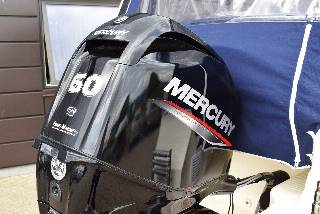 Quicksilver 455 Cabin - 60 HK Mercury/Udstyr fra 2019