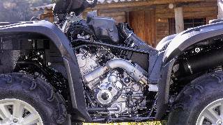 YFM700 Grizzly 25th Anniversary EPS ES